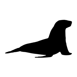 270x270 Sea Lion Silhouette Stencil Free Stencil Gallery