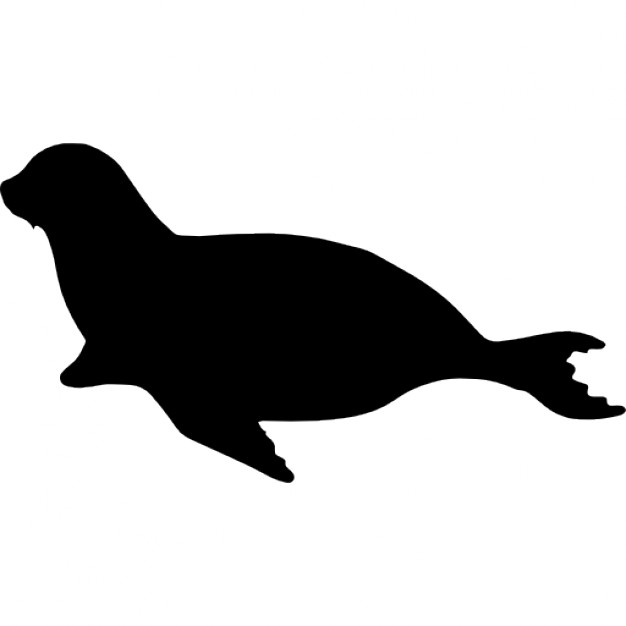 626x626 Sea Lion Mammal Animal Shape Icons Free Download