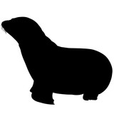160x160 Sea Lion Silhouette Vector Graphics Stock Image And Royalty Free