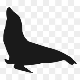260x260 Sea Lion Walrus