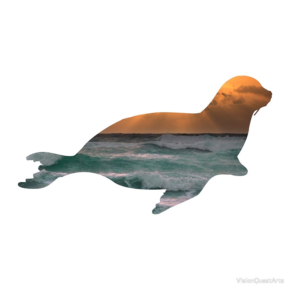 1000x1000 Seal Sea Lion Amp Sunset Ocean Waves Silhouette By Visionquestarts