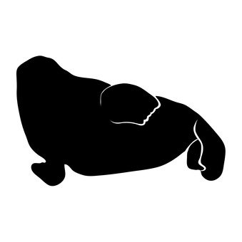 339x340 Free Cliparts Sea, Illust034, Marine Mammals