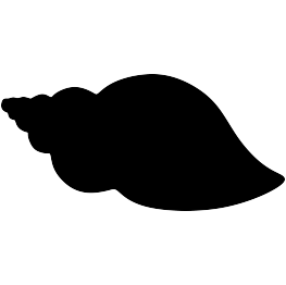 263x262 Seashell Clipart Silhouette
