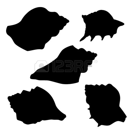 450x450 Silhouettes Of Seashells, Clipart Panda