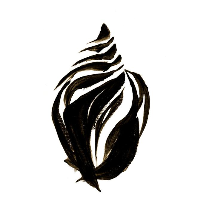 700x700 Best Photos Of Sea Shell Silhouette