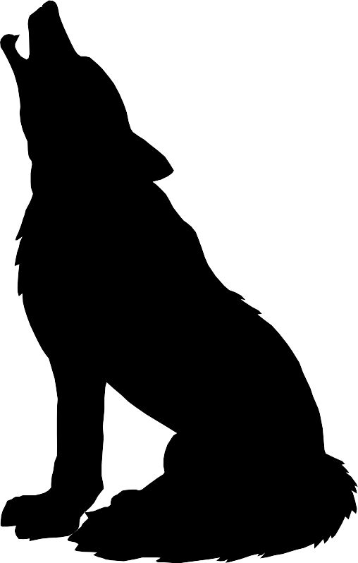 508x798 Sea Lion Clipart Animal Shadow