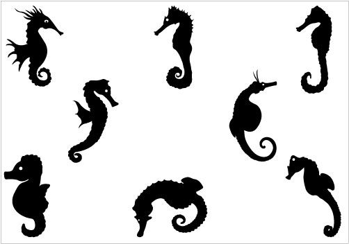 502x352 Sea Horse Silhouette Vector Pack