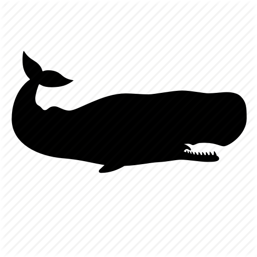 512x512 Animal, Cachalot, Ocean, Sea, Silhouette, Whale, Wild Icon Icon