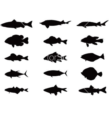380x400 Silhouette Of Sea And River Fish Vector Silhouette Clip Art