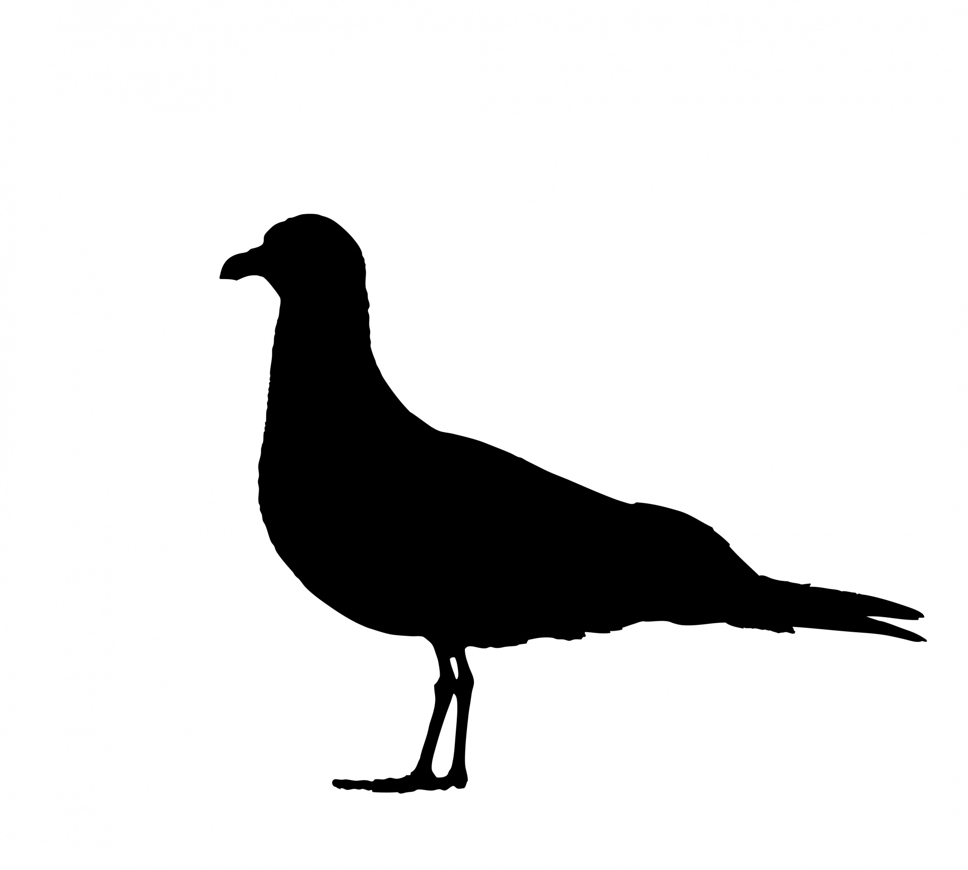 1920x1727 Seagull Silhouette Free Stock Photo