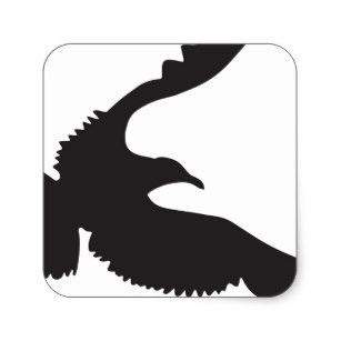 307x307 Seagull Silhouette Stickers Zazzle