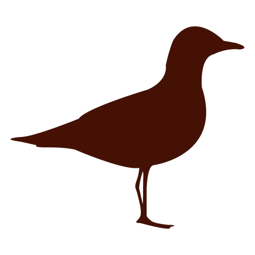 512x512 Seagull Bird Silhouette