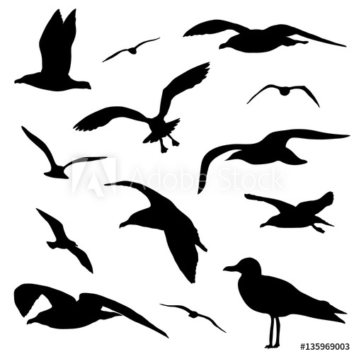 500x500 Seagull Silhouette Set Isolated On White Background Vector