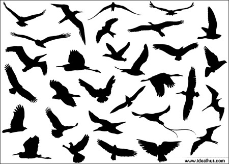 450x322 Seagull Silhouette Vector Free Vector Download (5,387 Free Vector
