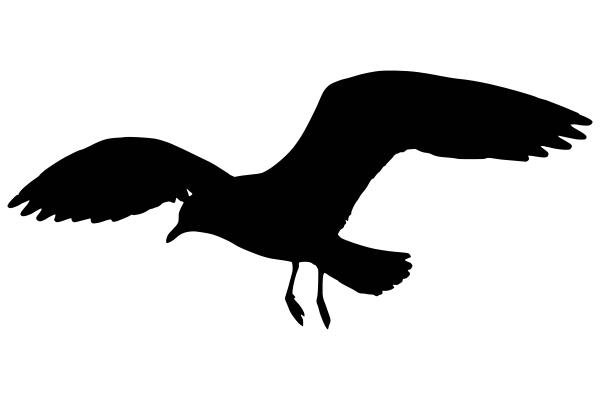 600x400 Fileseagullbansin2 Silhouette Bw.svg