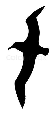 Seagull Silhouette Clip Art