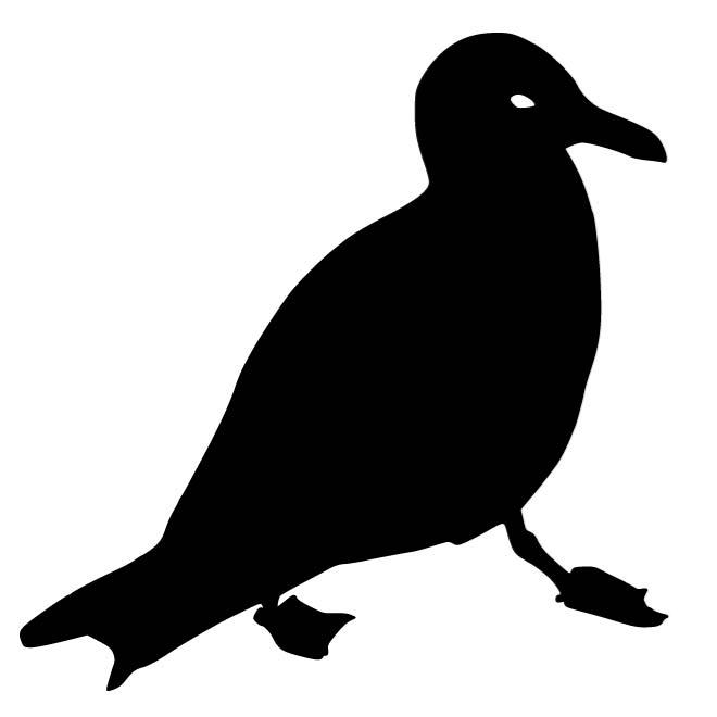 660x660 Seagull Silhouette