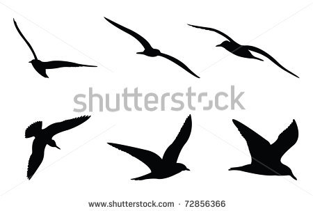 450x303 Seagull Silhouette Clipart
