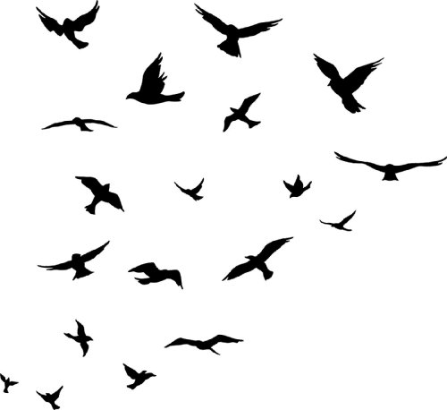 500x458 Seagull Clipart Three Bird