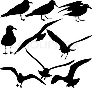 320x304 Silhouette Of A Seagull Stock Vector Colourbox