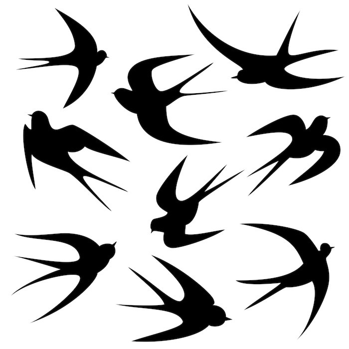 700x700 Schwalben Tattoo Vorlage Vektor Silhouette Wall Mural Pixers