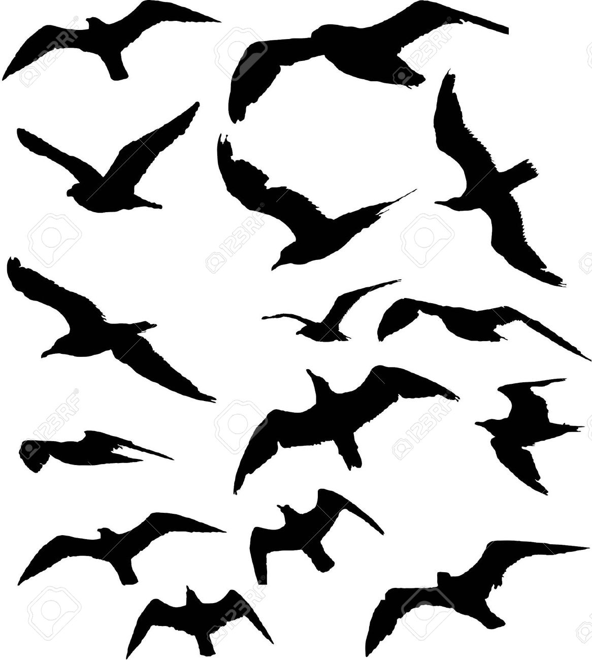 1166x1300 Seagull Clipart Mean