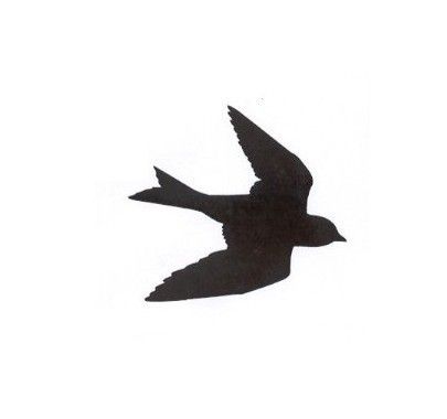 405x380 Silhouette Swallow In Flight Mounted Rubber Stamp By Terbearco