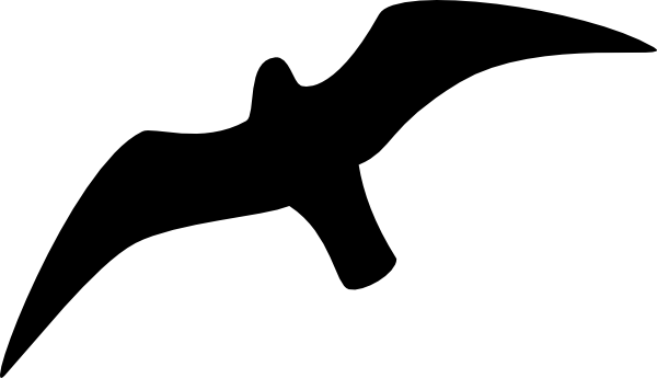 600x345 5 Seagull Tattoo Designs, Samples And Stencil Ideas