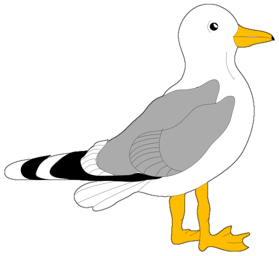 558x512 Image For Gt, Seagull Silhouette Clip Art