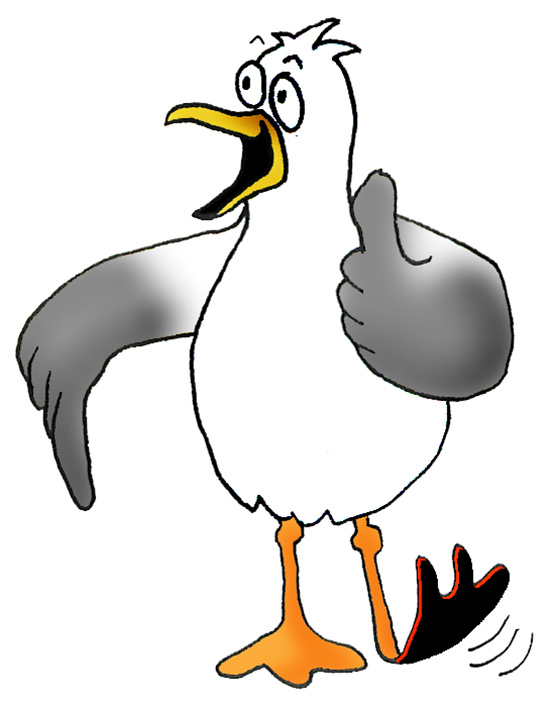 557x709 Seagull Clipart Image Silhouette