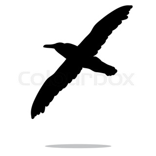 320x320 Silhouette Of A Seagull Stock Vector Colourbox