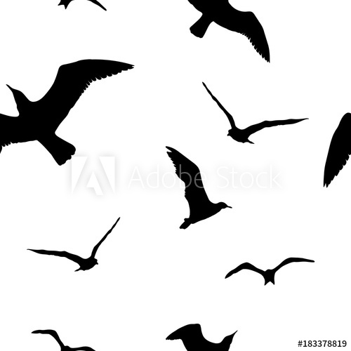 500x500 Silhouettes Seagulls. Vector Black Pattern Wall Decor