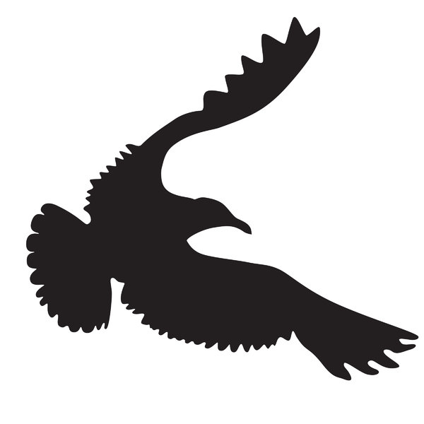 600x600 Free Stock Photos