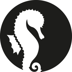 300x299 Seahorse Royalty Free Photos And Vectors