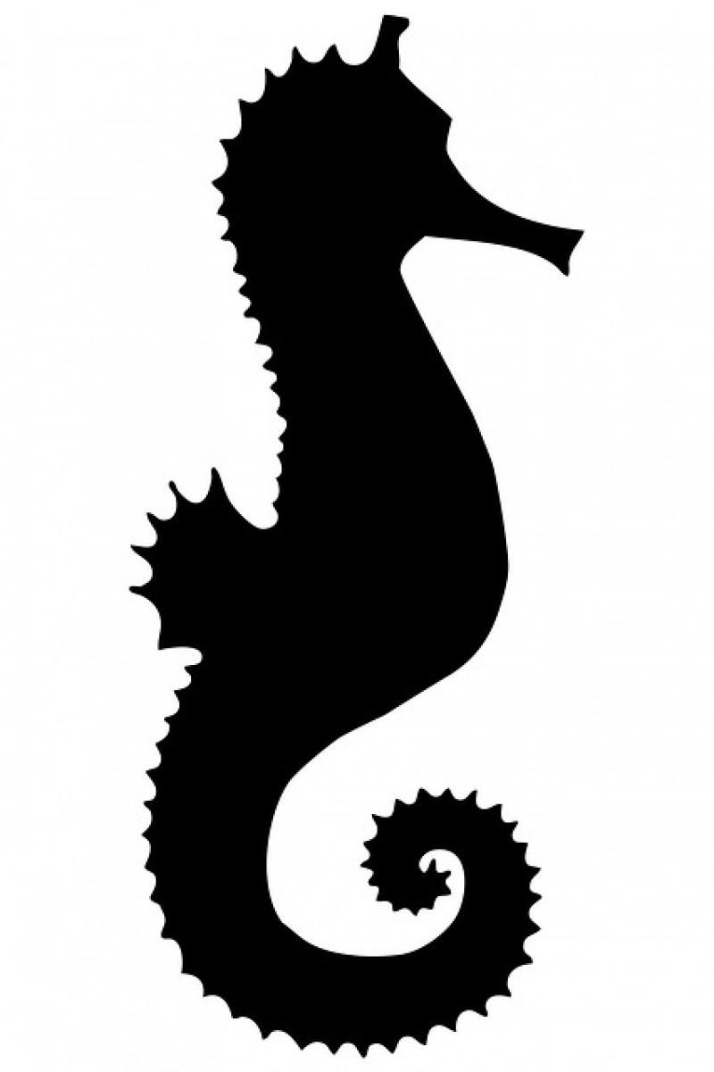 800x1201 Seahorse Silhouette Seahorse, Black, Silhouette, Shape, Clipart