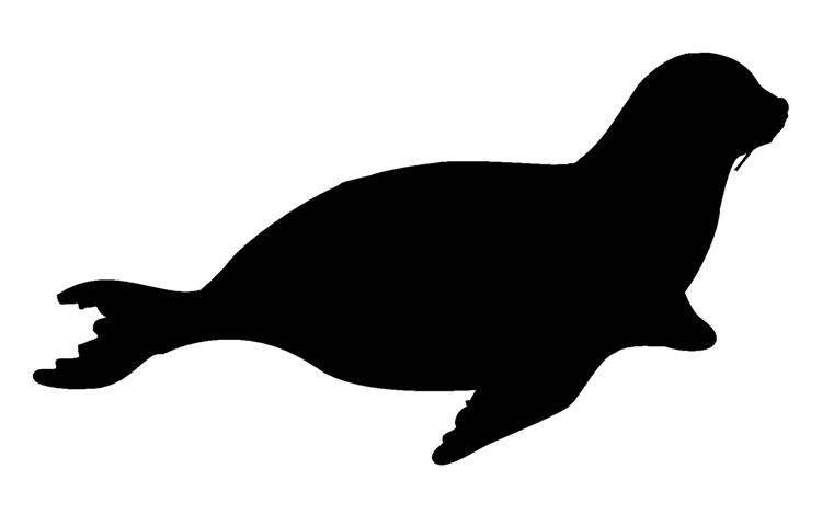 761x480 Sea Lion Silhouette Decal Sticker