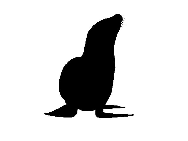 640x480 Can You Name These Animals From Just Their Silhouette Playbuzz
