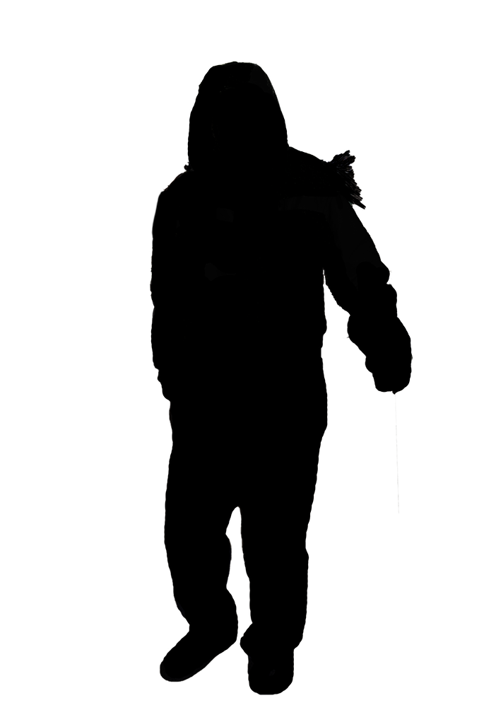 702x1011 Silhouettes On Brushesbycategory