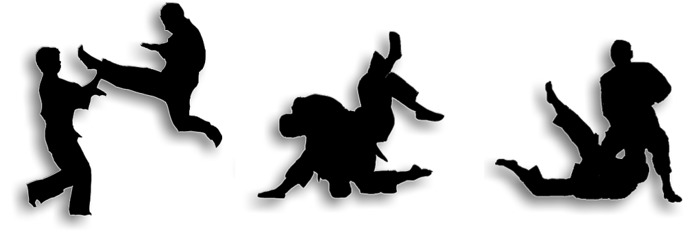 999x339 Why Is Mma More Effective Than Karate And Tae Kwon Do