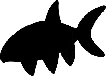 350x251 Fish Clip Art Color Black Line And Silhouettes Semi Realistic Tpt