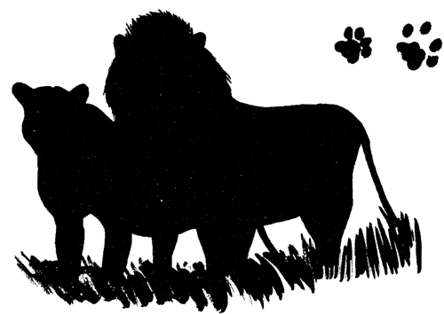 500x354 Vol 20, No 4