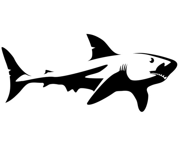 570x466 Shark Svg Shark Clipart Shark Silhouette Svg Graphics
