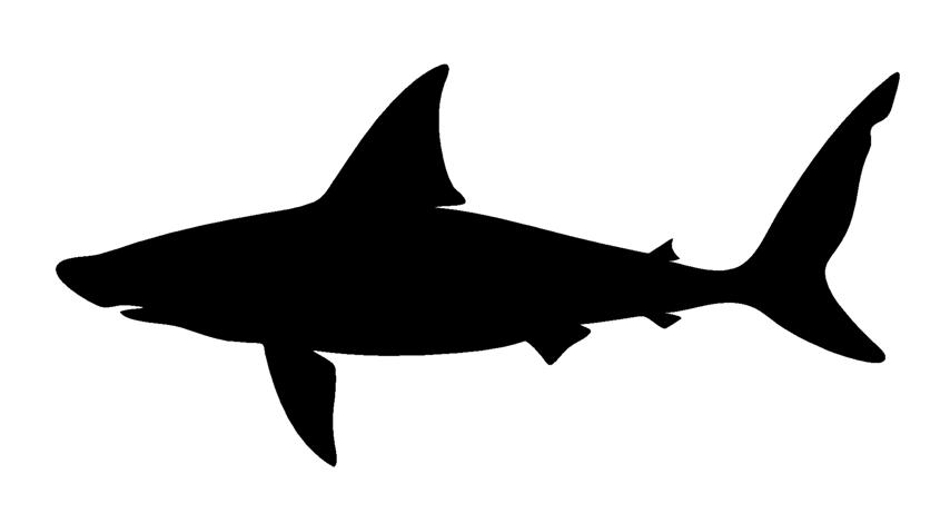 854x461 Shark Silhouette 4 Decal Sticker
