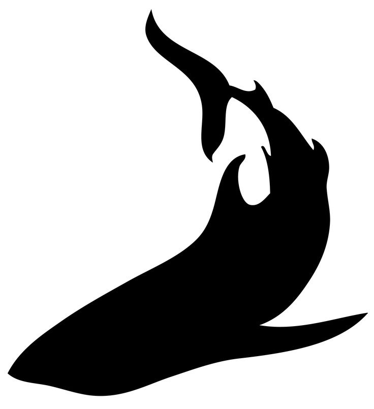 736x805 Shark Silhouette Siluetas Shark, Silhouettes