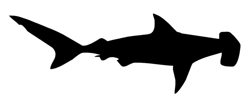 854x354 Hammerhead Shark Silhouette 2 Decal Sticker