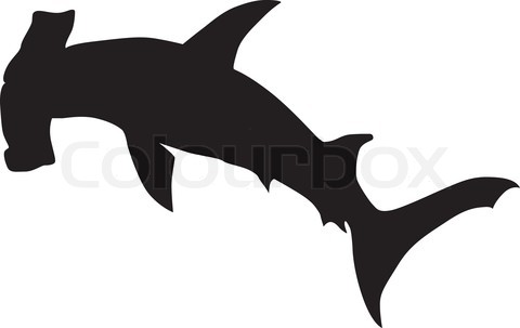 480x303 Hammerhead Shark Clipart Printable