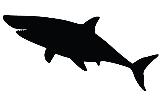 550x354 Shark Silhouette Vectors Vector Free Download, Shark And Silhouettes