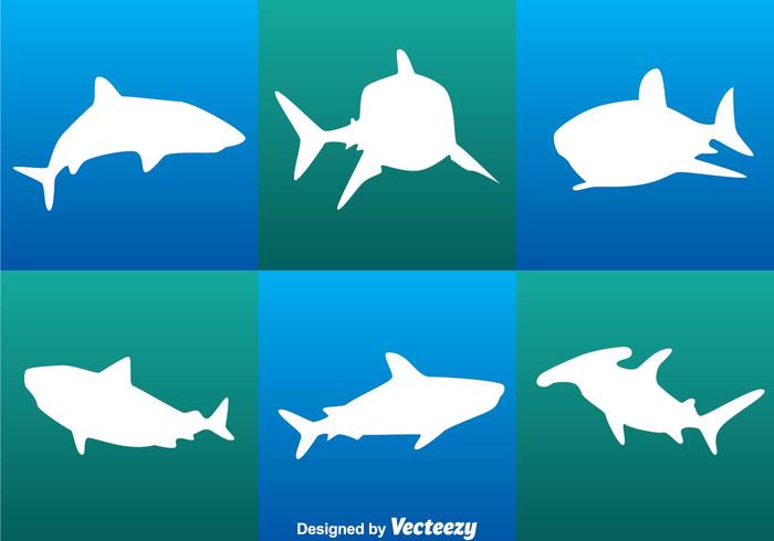 700x490 Shark White Vectors