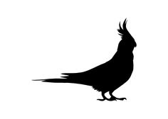 236x168 Silhouette Parrots Vector Design Brading