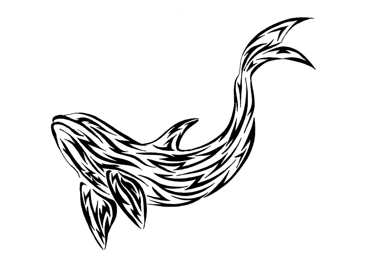 1280x960 Whale Shark Silhouette